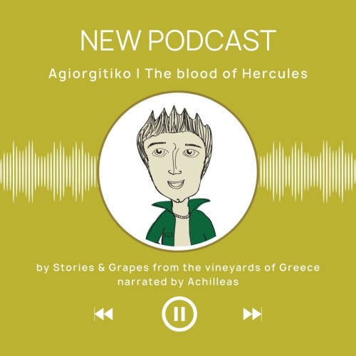 Agiorgitiko vineyards in the Nemea wine region of Greece