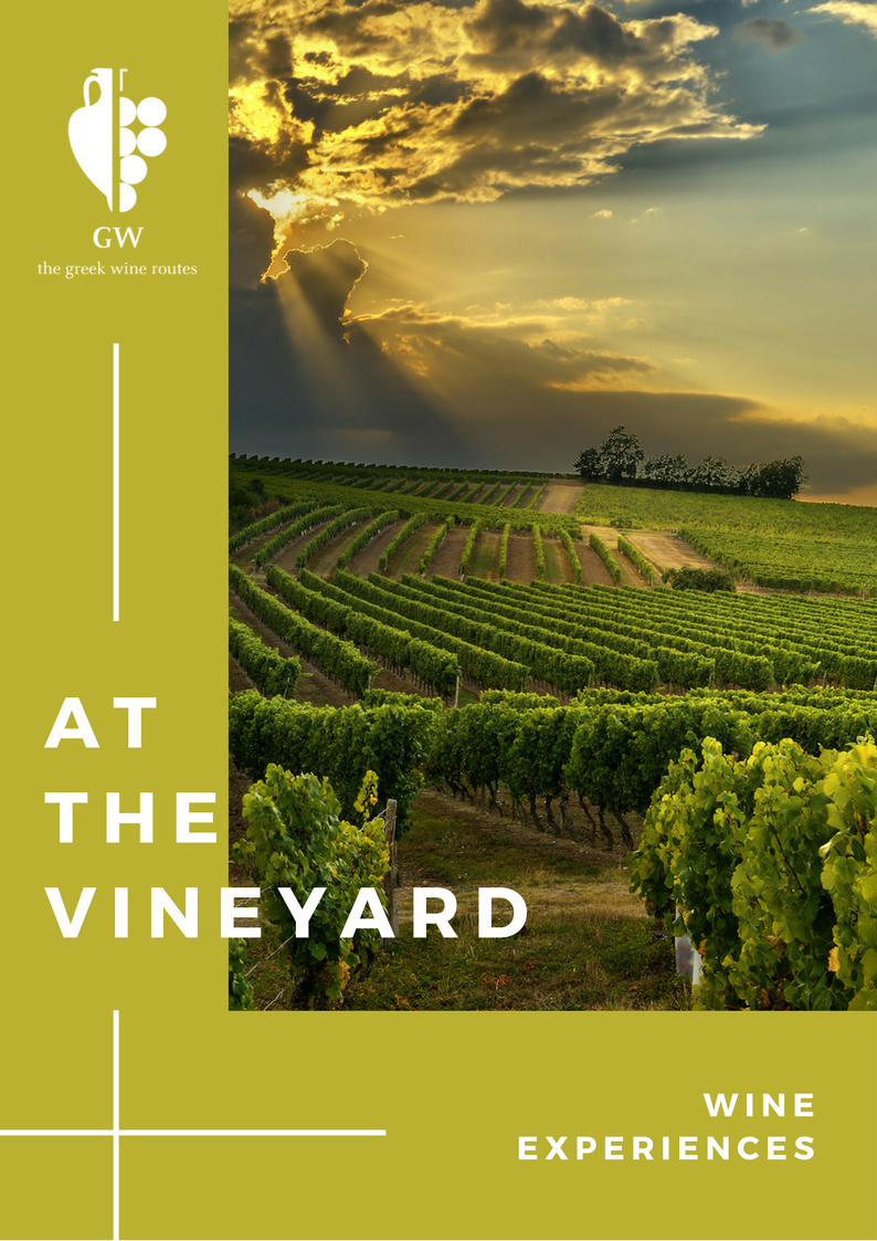 Atthevineyard