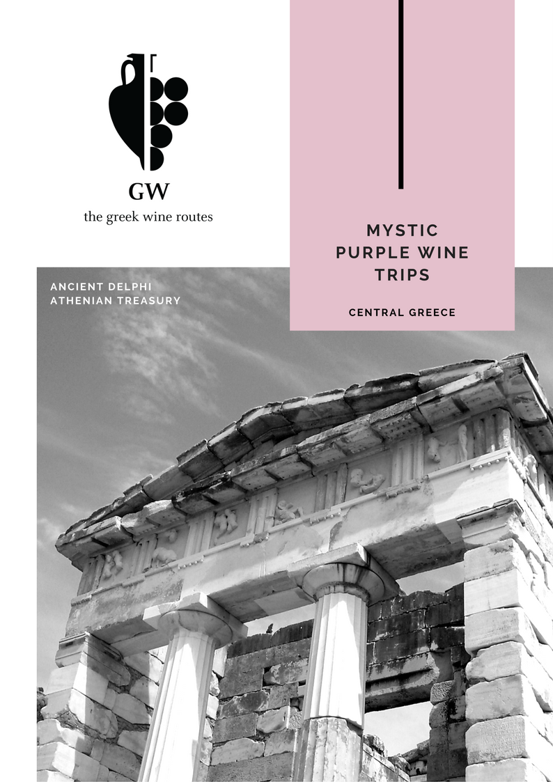 MysticPurpleWineTrips