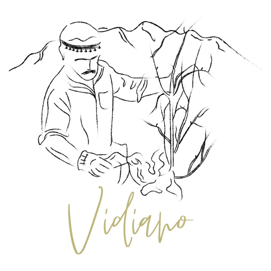 Vidiano