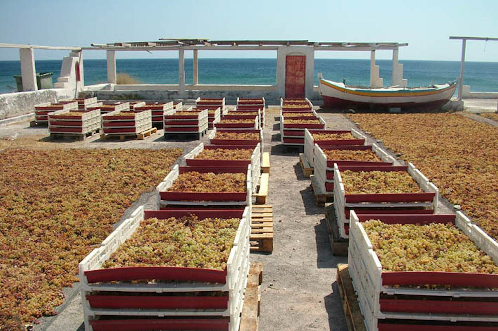 All Gaia Wines Santorini